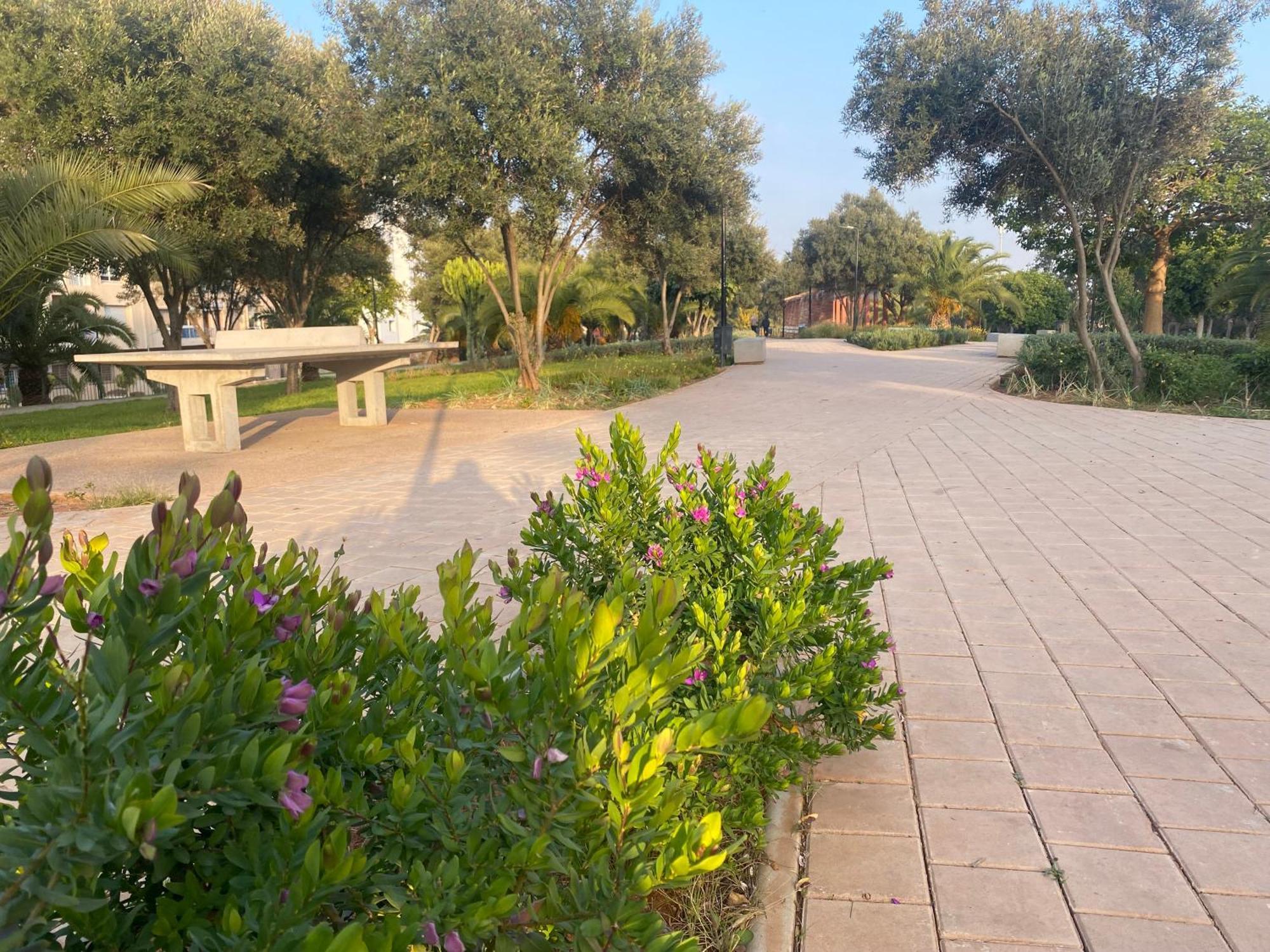 Cosy Greeny 3 Bdr - Downtown Near Oasis Train And Tramway Casablanca Esterno foto